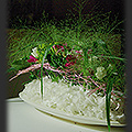 Pokaz florystyczny - Bronisze 2009  fot. Portal Asflor