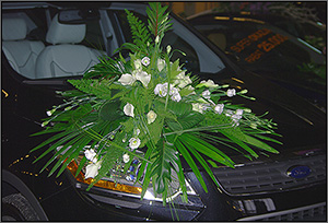 Jaap Wisse - Orchid - Pokaz Florystyczny Wrocaw