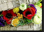 Gardenia 2011 - Pokazy Florystyczne