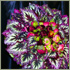 Pokaz florystyczny - Hurtownia kwiatw - Florimex