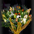 Flower Fashion cz.II w Broniszach fot. Portal Asflor