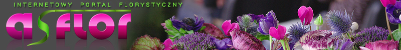 Asflor - Internetowy Portal Florystyczny