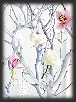 trendy florystyczne - Zima 2008 - Styl nastrojowy