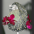 Gardenia 2009 - Ewelina Ostrowska  fot. Portal Asflor