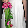 Gardenia 2009 - Iwona Dbrowska  fot. Portal Asflor